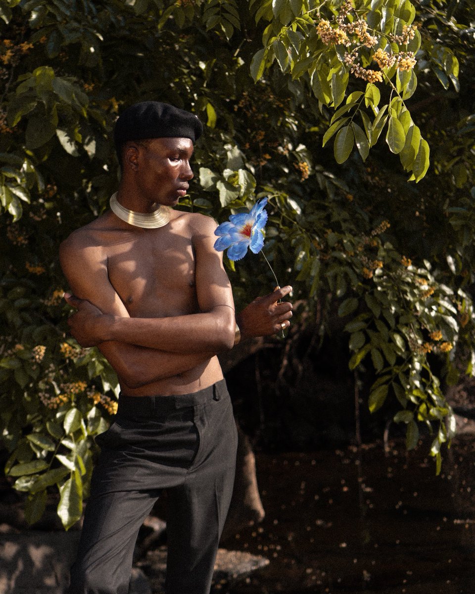 son of the sun tweet media