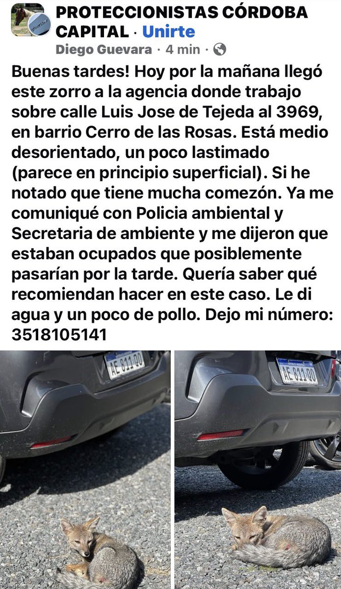 José María Menso tweet media