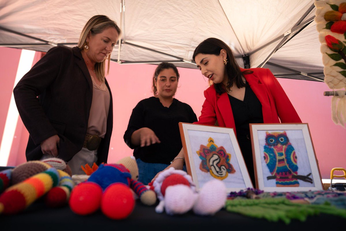 Ministerio de la Mujer y la Equidad de Género tweet media