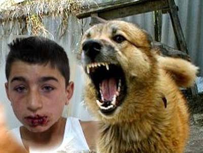 Kuzeyli55 tweet media