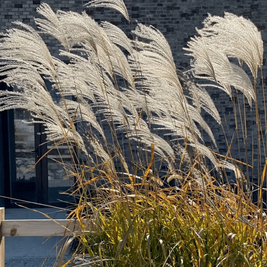 barthel-tep  tweet media