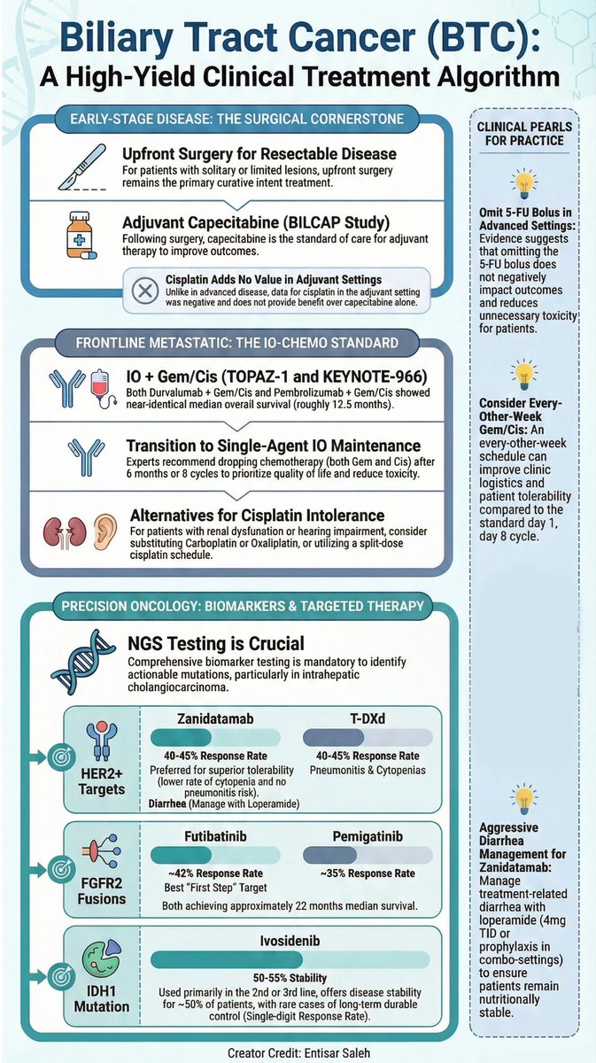 Entisar saleh tweet media