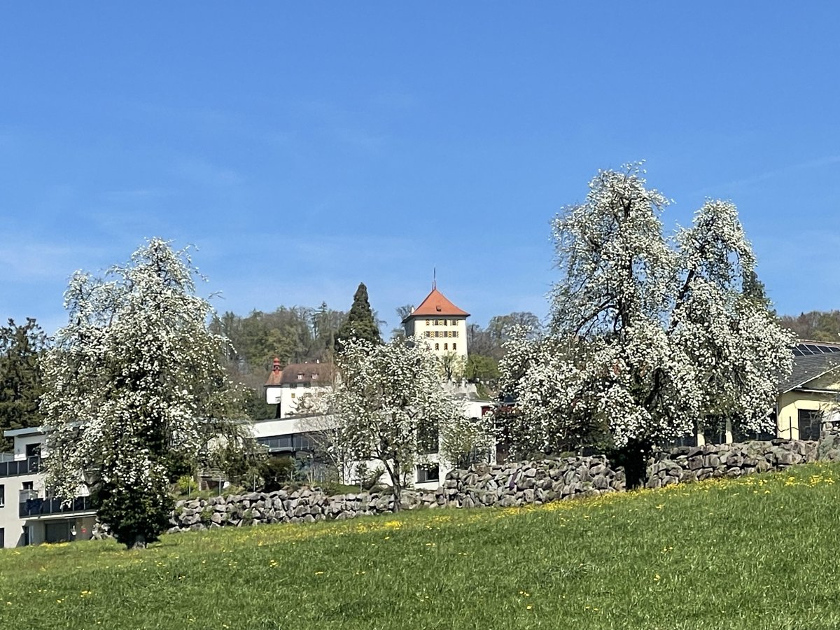 Andreas Schweizer tweet media