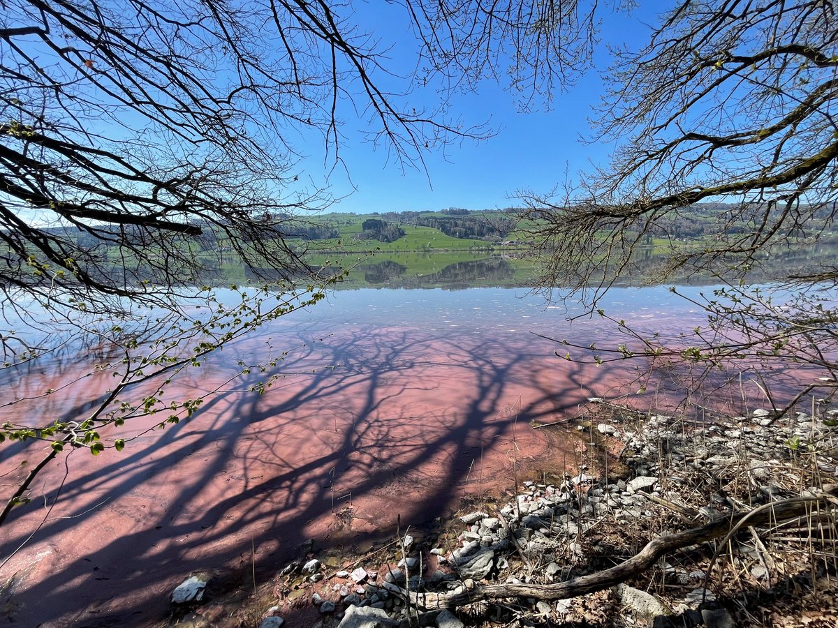 Andreas Schweizer tweet media