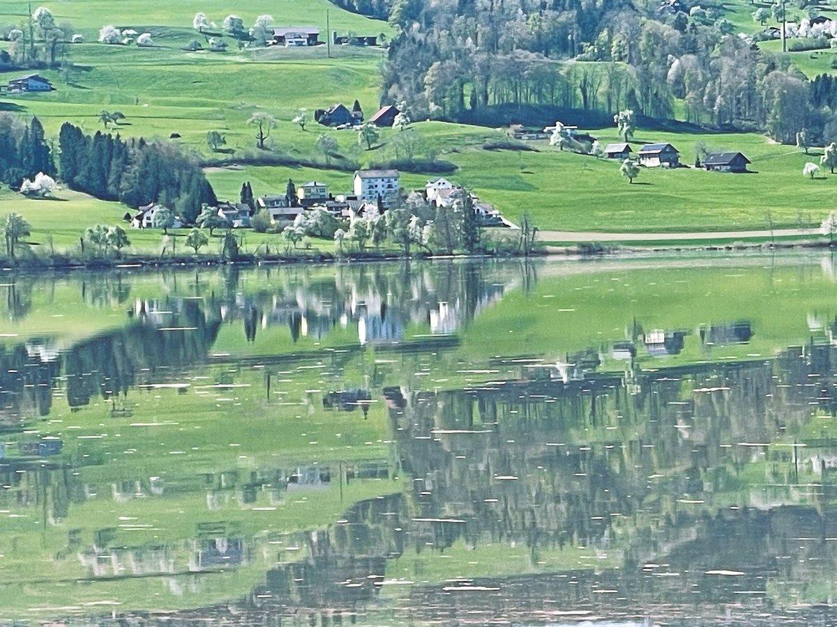 Andreas Schweizer tweet media