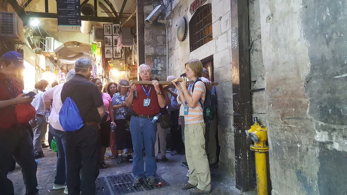 safaa saleh صفاء صالح tweet media