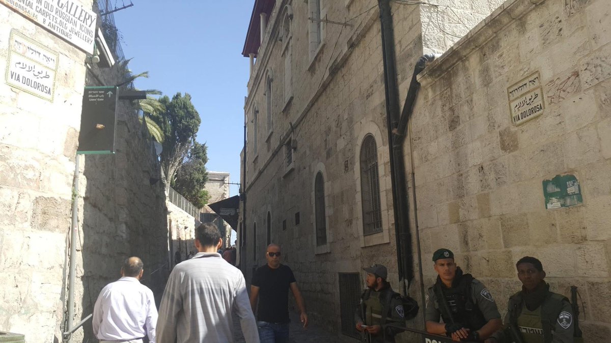 safaa saleh صفاء صالح tweet media