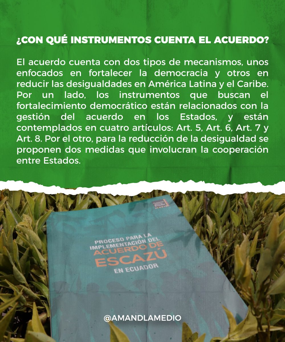 Amandla Medio Digital tweet media