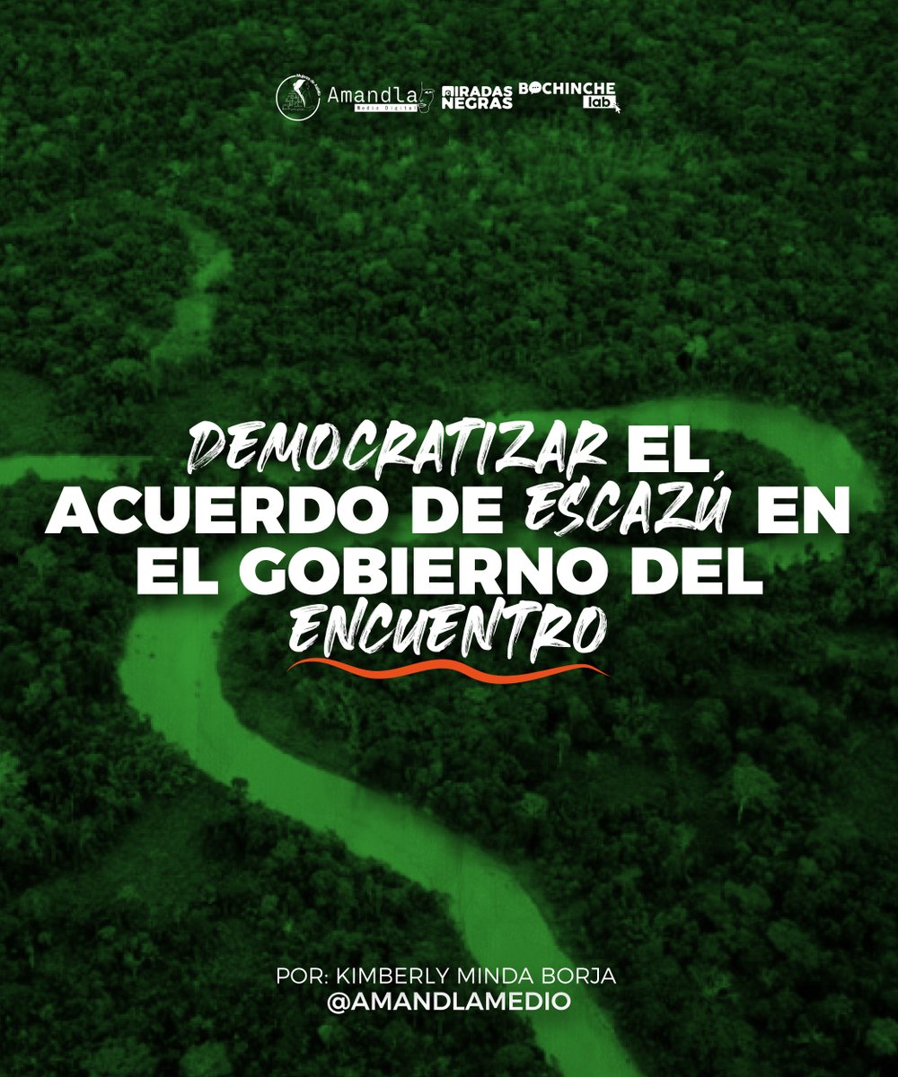 Amandla Medio Digital tweet media