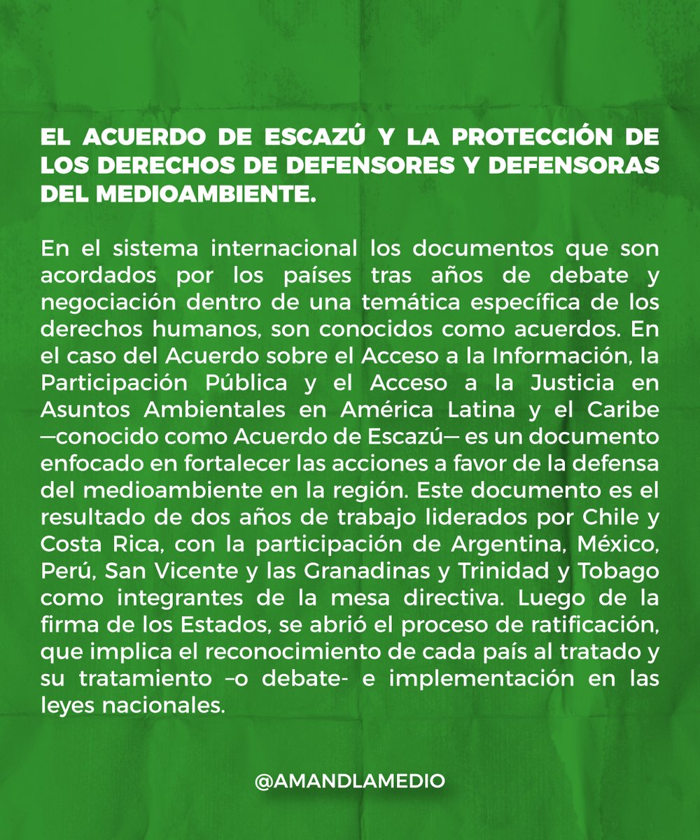 Amandla Medio Digital tweet media