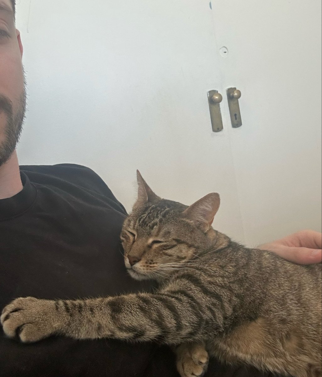 sebpalombo's tweet photo. @saniyafatma1278 I fear we have the same cat… she may have been flying some planes all over the world lol https://t.co/doRmpHMuYc