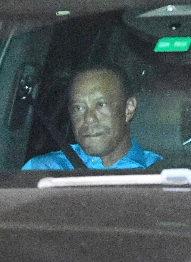 Tiger Woods Memes tweet media