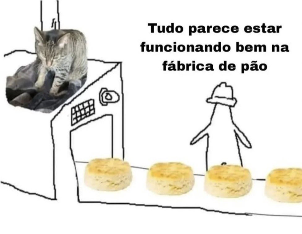 gatos fazendo gatices tweet media