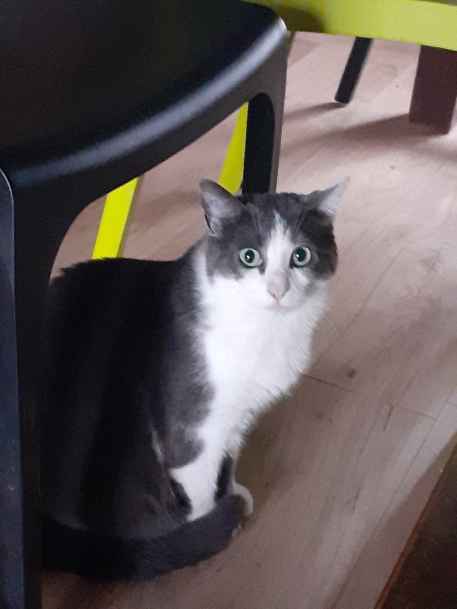 Daft ワラス tweet media