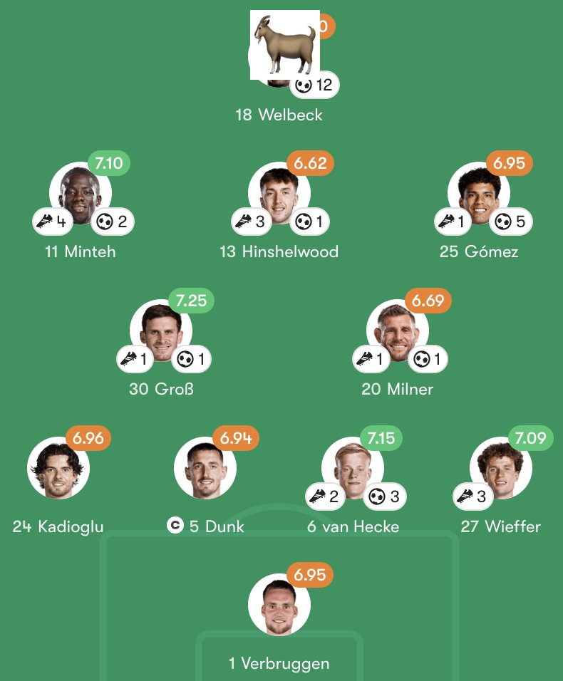 FPL Meerkat tweet media