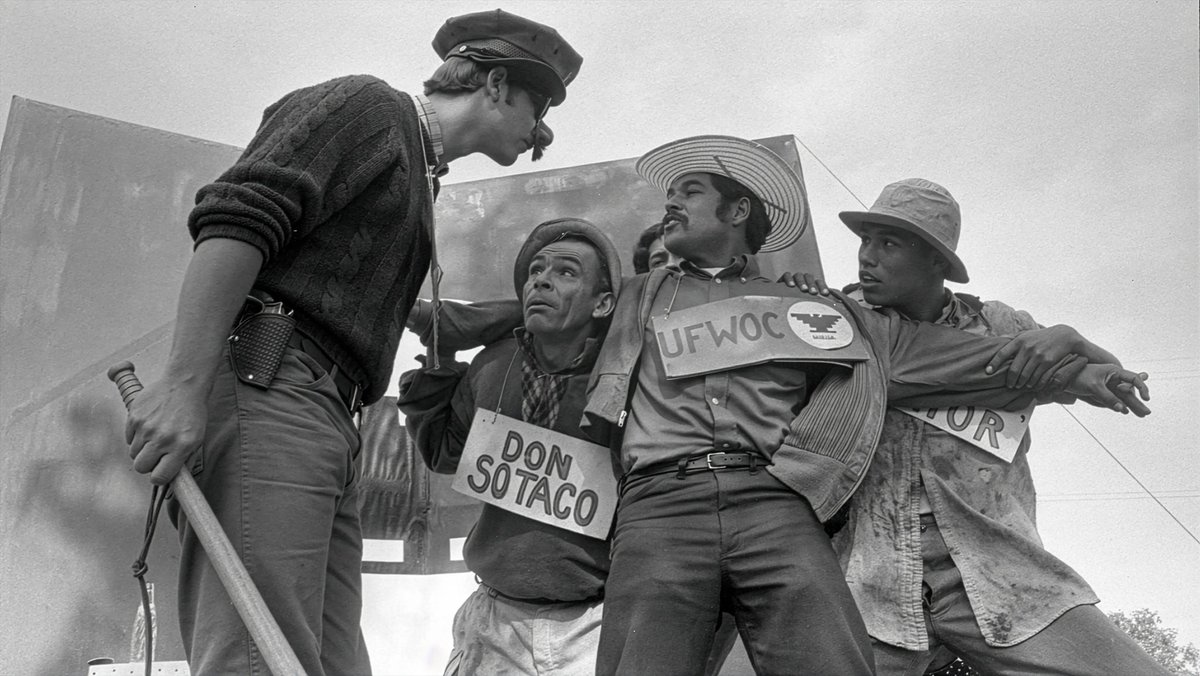 AndresOlasToroX's tweet photo. 'The AI Doc: Or How I Became an Apocaloptimist', de Daniel Roher y Charlie Tyrell.
'American Pachuco: The Legend of Luis Valdez', de David Alvarado.
'The Best Summer', de Tamra Davis.
'Everybody to Kenmure Street', de Felipe Bustos Sierra. https://t.co/xzc94bGv5B