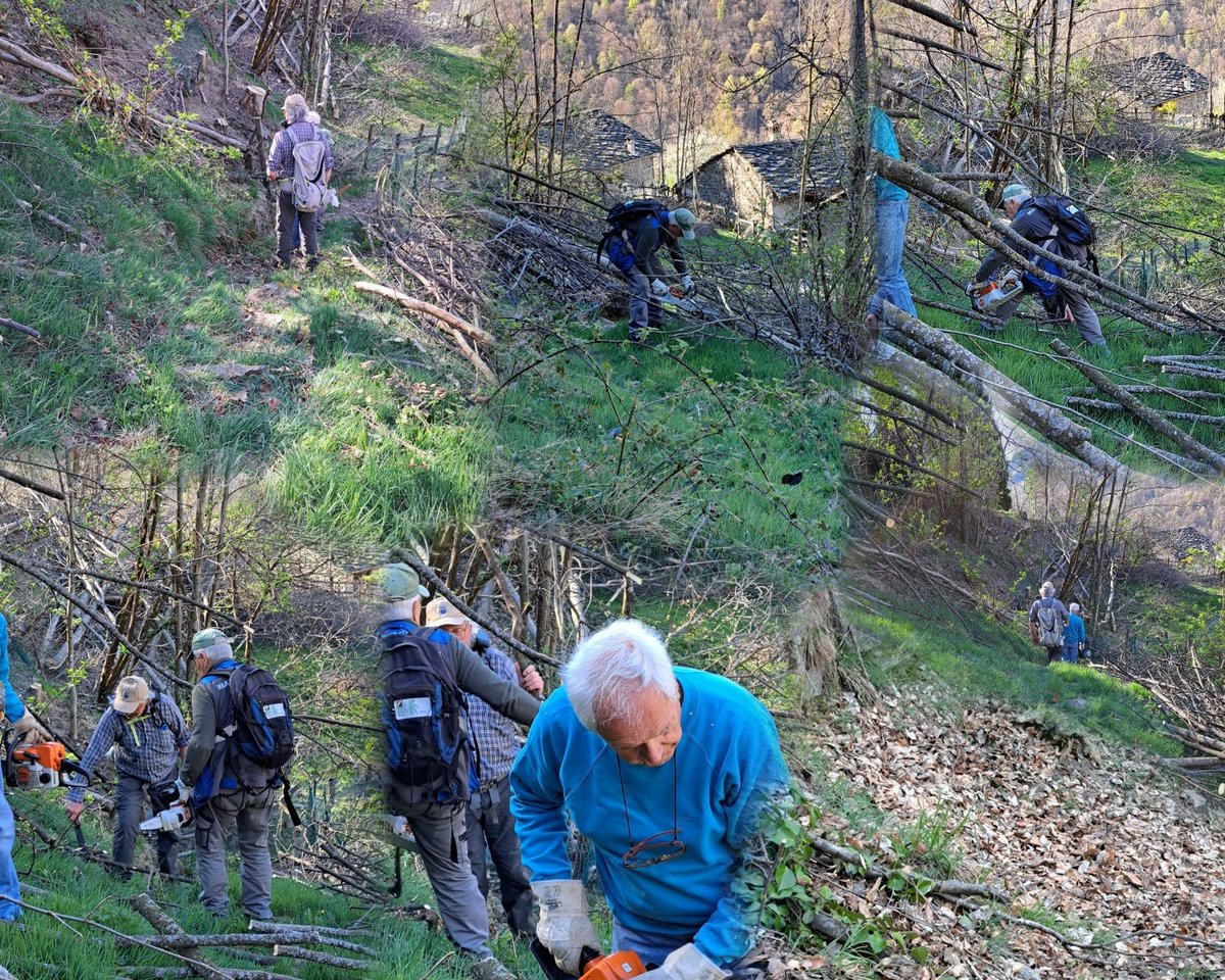 CAI Lanzo - Club Alpino Italiano tweet media