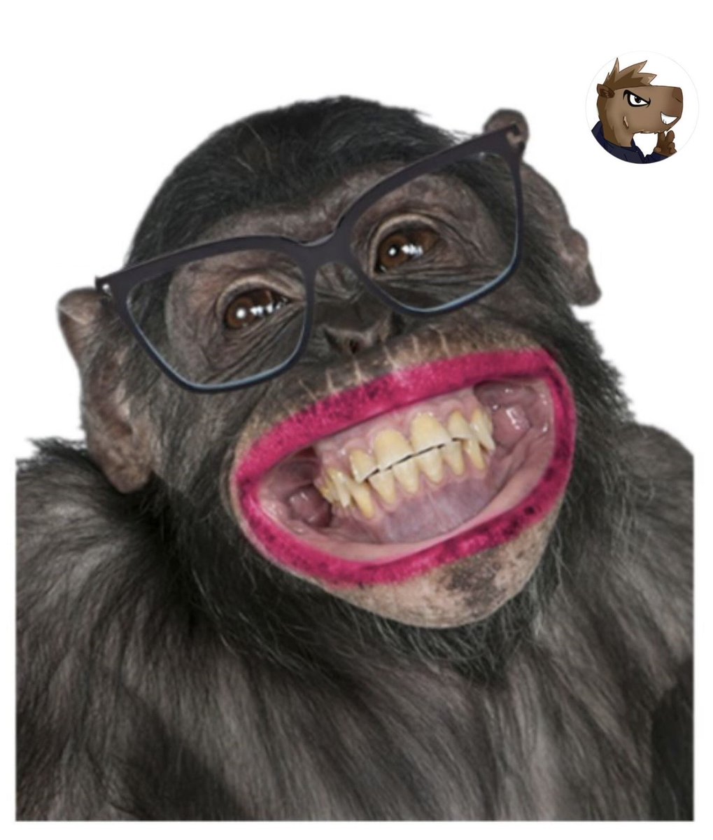 El Chigüire Tripolar tweet media