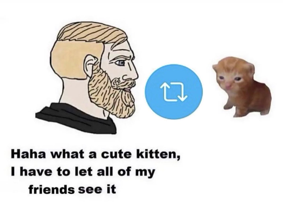 Cats with Aura 😺 tweet media