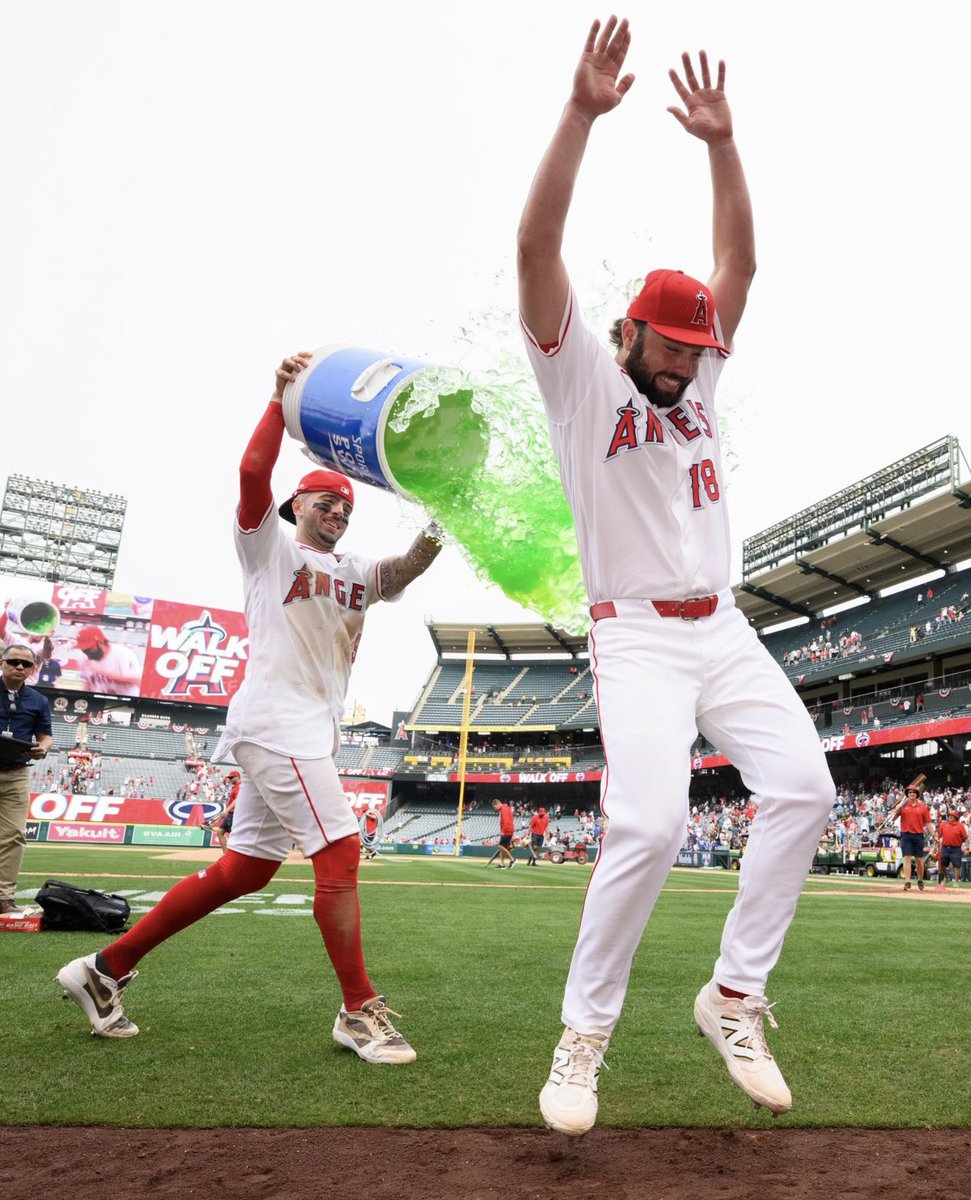 Netomania🇺🇸 tweet media