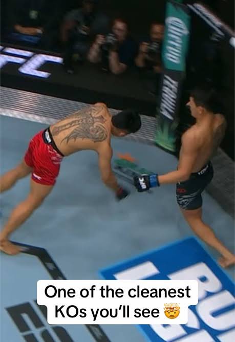 NealMafia (@mysticwikimma) on Twitter photo 