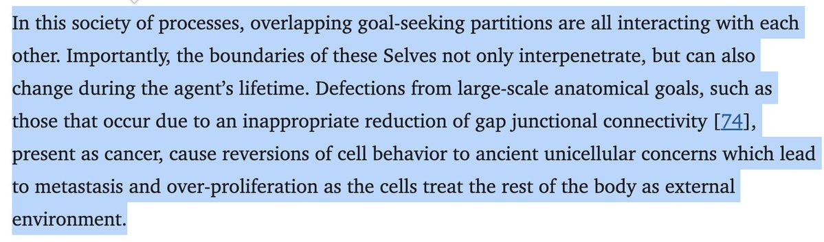 has anyone made the mike levin/bodhisattva critique of e/acc? 

(e.g. "accelerating self-organizing complexity without expanding sphere of care/cognitive light cone is just cancer")

via: pmc.ncbi.nlm.nih.gov/articles/PMC91…