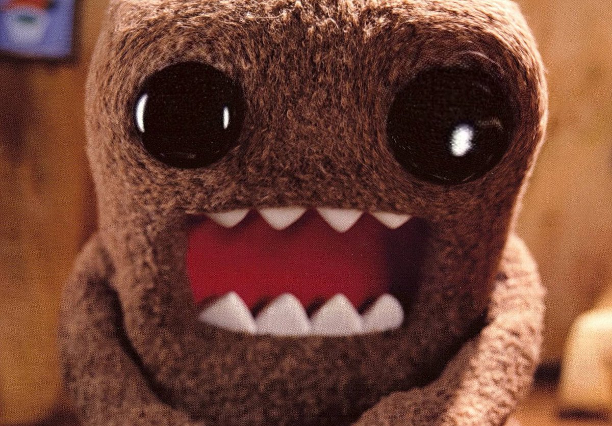 Domo Fans tweet media