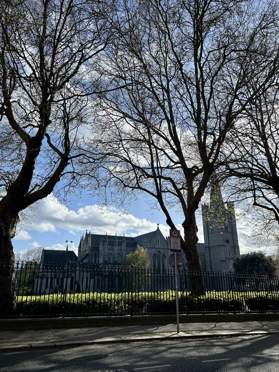 FergusPMcGrath's tweet image. Day 99 of 100 / Round 8 ✅

A little cooler in Dublin, today. 

#100DaysOfWalking
#cool🆒