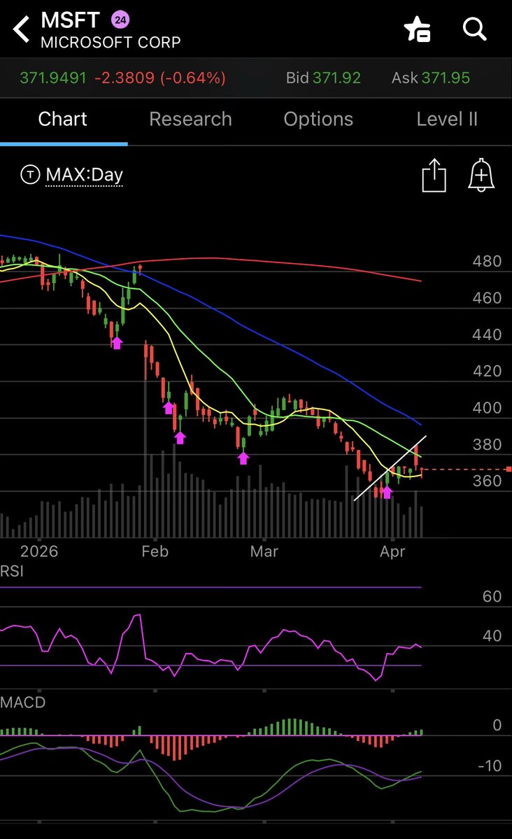 MillaNereHere tweet media