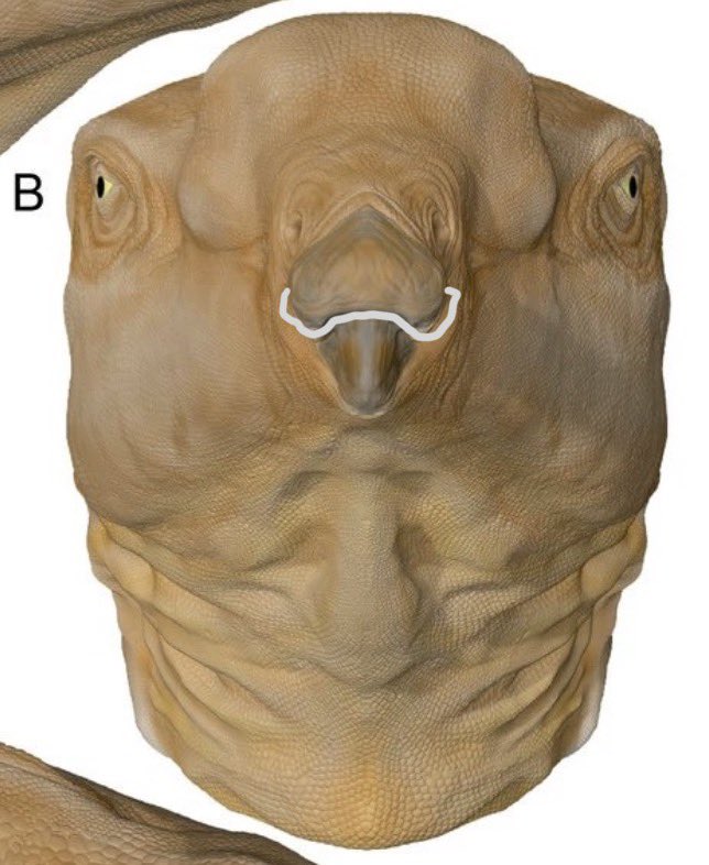 🎶Silver Symphonies 🎵 Composer | LVLUP Expo 2026 tweet media