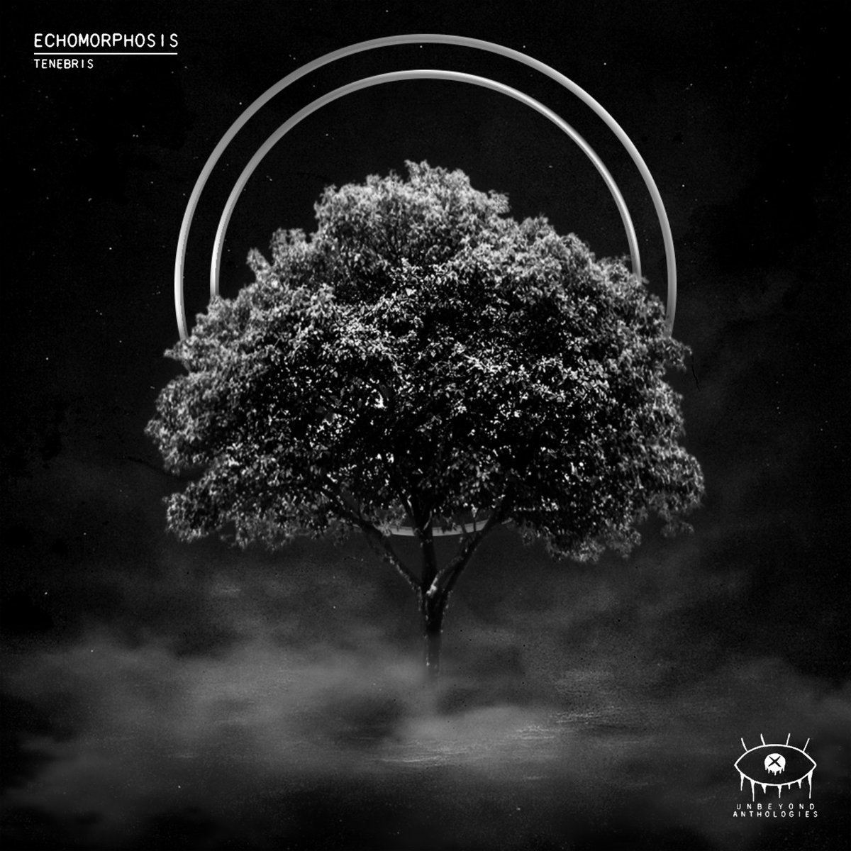 s0mbrasounds's tweet photo. 4 underrated dubstep/bass EPs from 2025 that you may have missed: https://t.co/lvYUOVjX4d