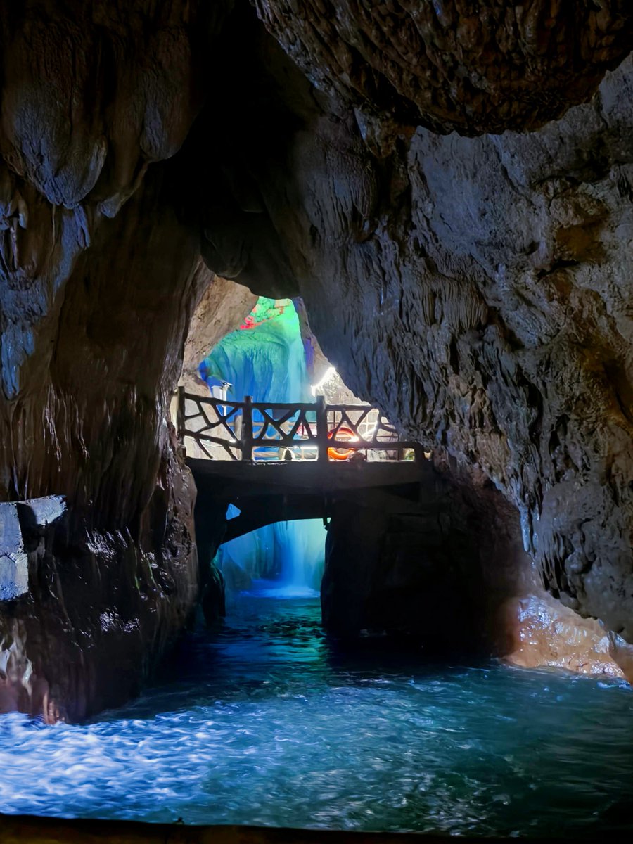 martha ames tweet media