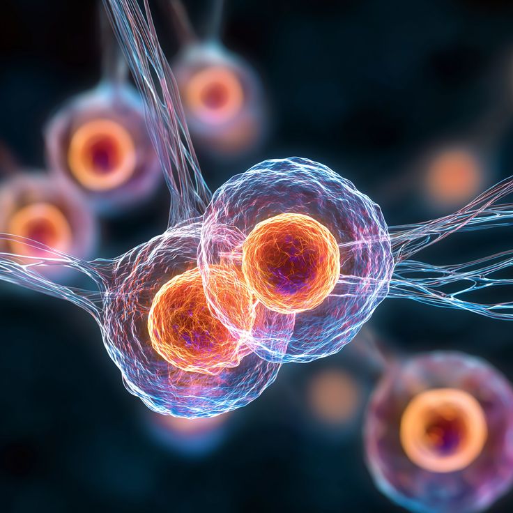 For all Curious tweet media