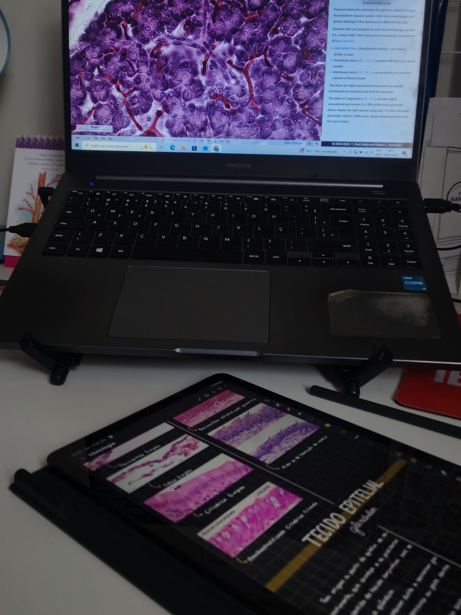 bruna♡ | enf/ufjf #studytwtbr tweet media