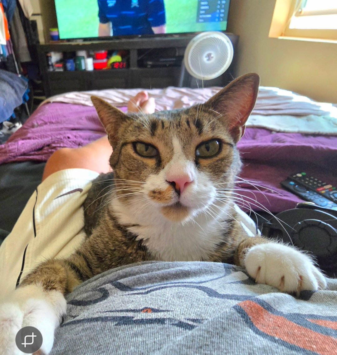 KING BRONCO VEGAS 😏👑 tweet media