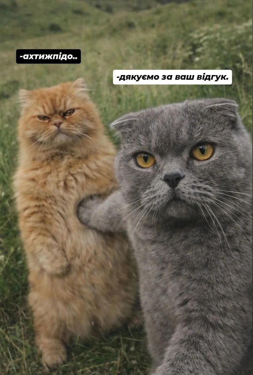 Роман 🔱🇺🇦 tweet media