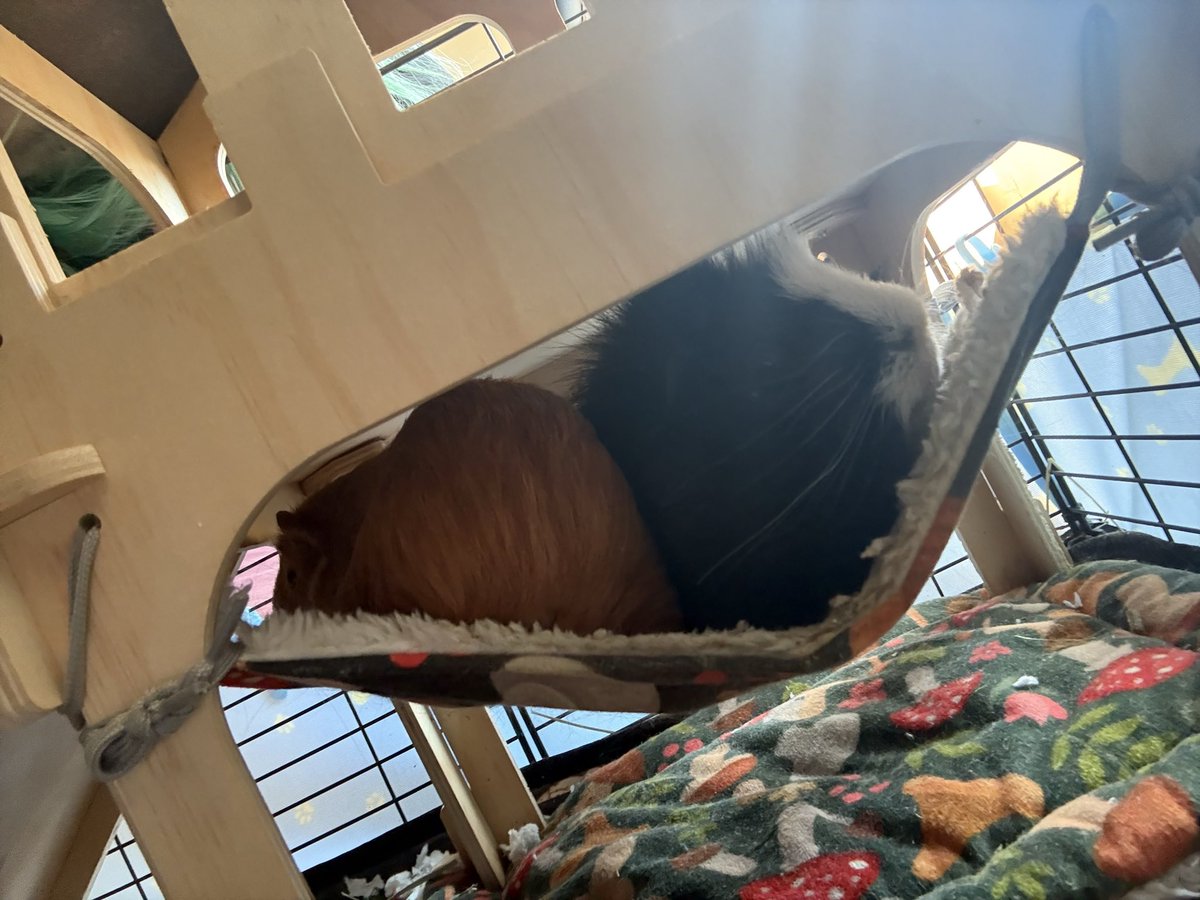 sky 𐂯ྀིྀི tweet media