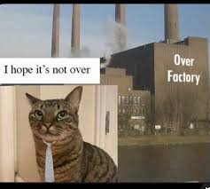 Shame's Only Daughter ִֶָ. ..𓂃 ࣪ ִֶָ🪽་༘࿐ tweet media