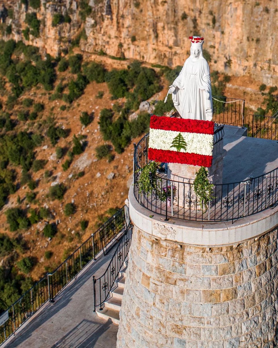 Sublevados 🇲🇽 tweet media