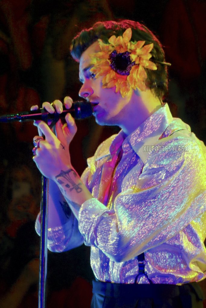 lily 𐙚๋࣭˚࿔ tweet media