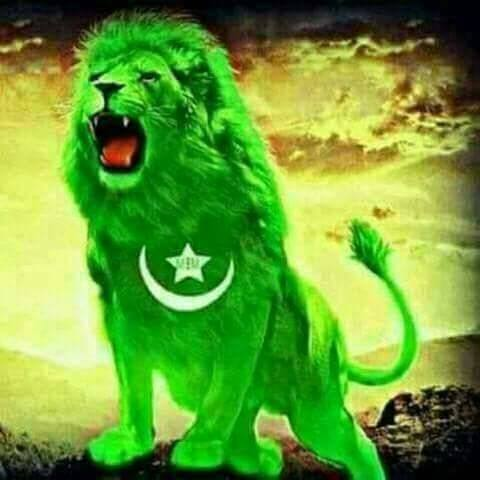 Καλός 🍇 tweet media