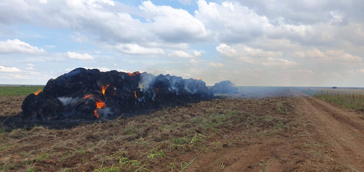 Rieb van Janbeeck tweet media