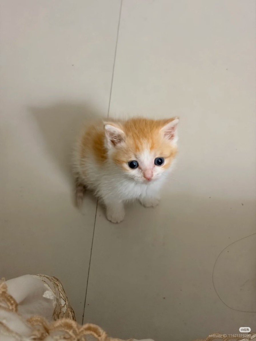 God, I need new games to play