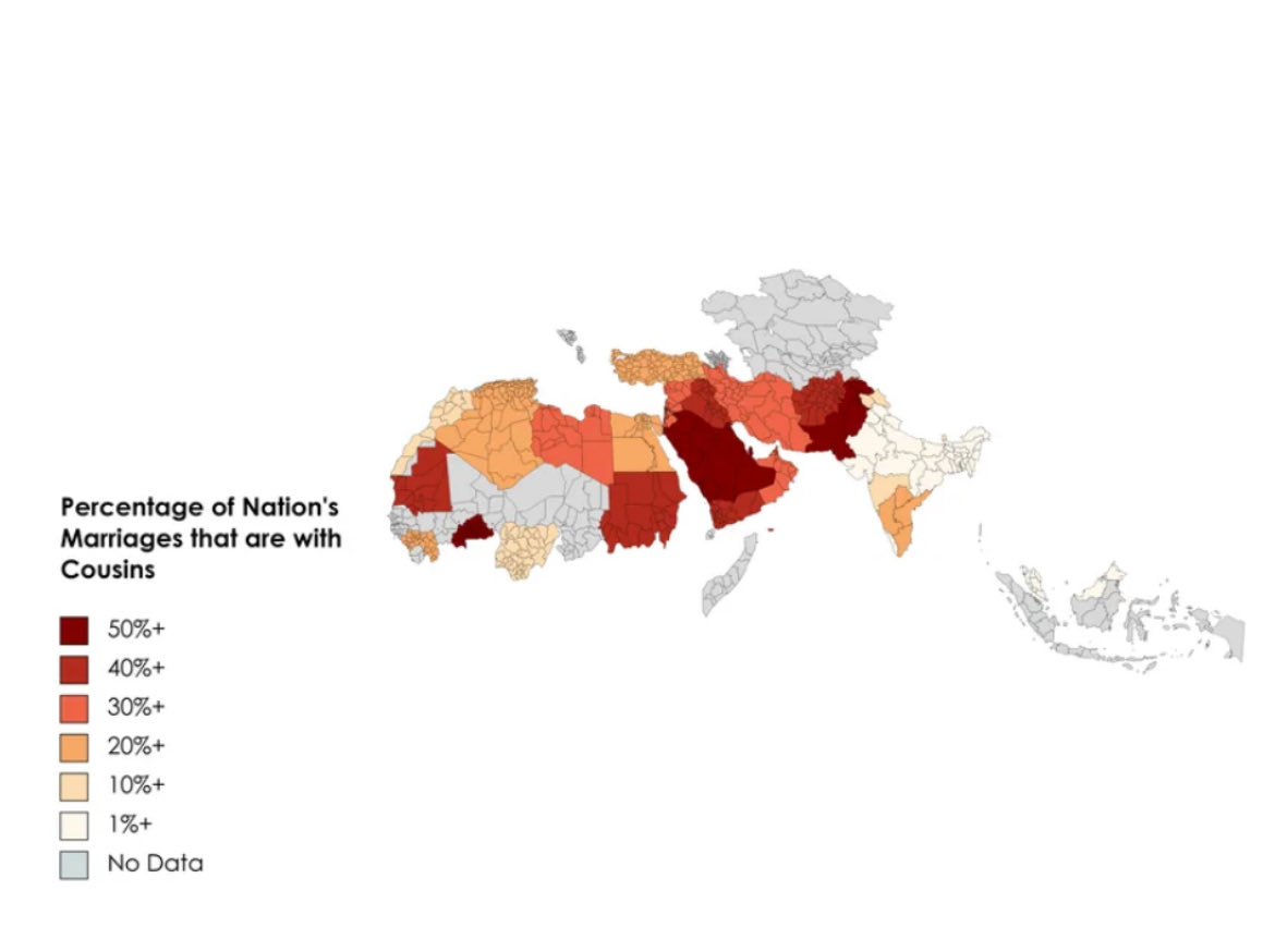 sten zwen tweet media