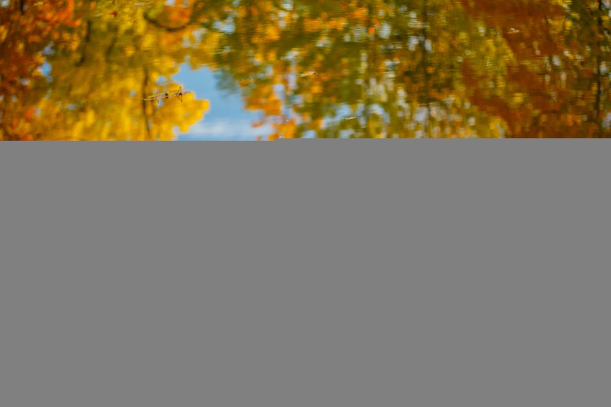 Rooh Adam tweet media