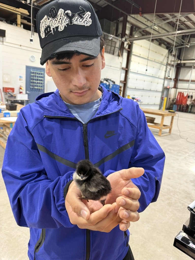 WestLibertyCSD's tweet image. New life in Ms. Buysses' ag room! Students met the adorable chicks that just hatched — hands-on learning and big smiles all around. What’s your favorite classroom “aww” moment? #AgEd #SchoolLife