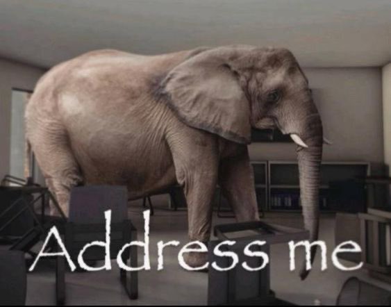 claire ❀ tweet media