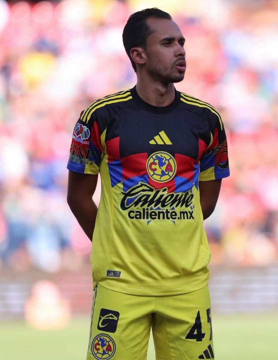 Veiguismo Brasileño 🇧🇷 tweet media