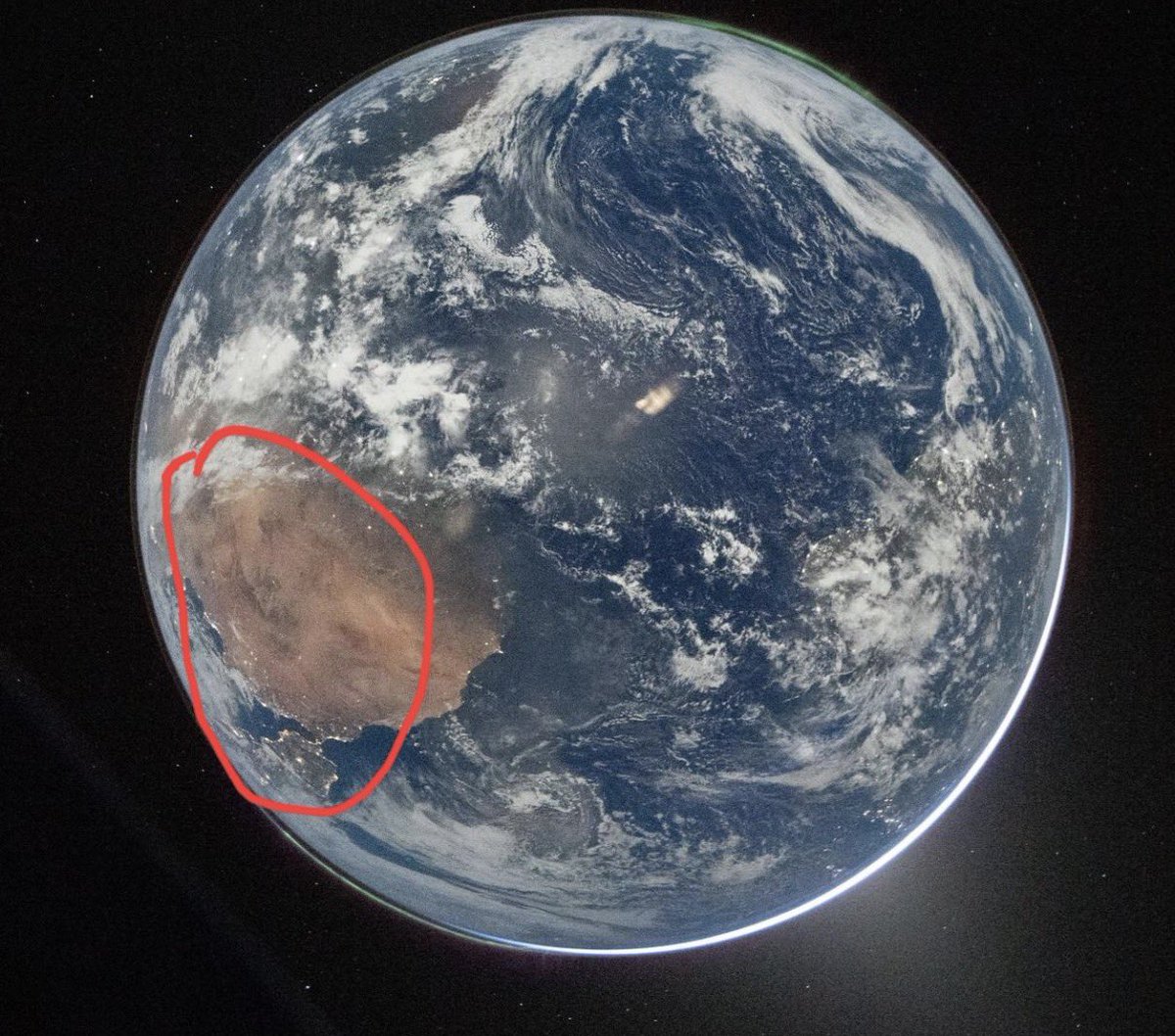 Maldita Summer tweet media