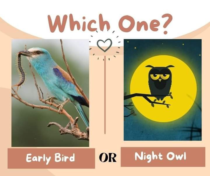 🦋💙𝓗𝓮𝓪𝓽𝓱𝓮𝓻💙🦋 tweet media